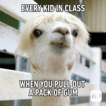 Memes for life!!!!