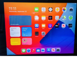 The group with only iPad users