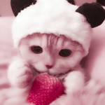 swevenˑ