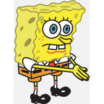 Spongeology