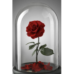 Rose Petals Fan Group :D