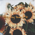 spring flowers!!!