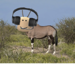 Gemsbok Games