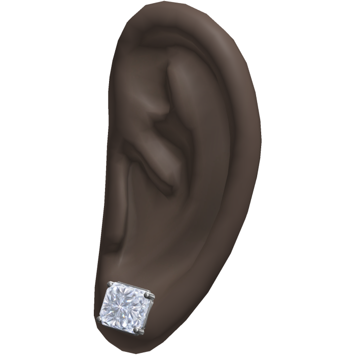Diamond Stud Earrings Ears