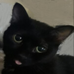  =＾• . •＾=