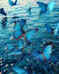 Butterfly’s FAM