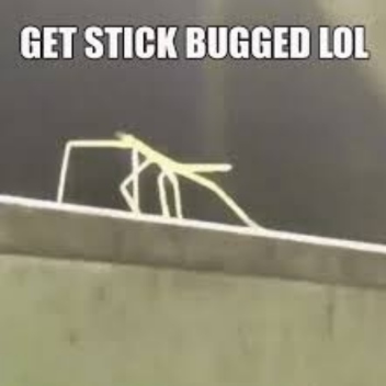 GET STICKBUGGED LOL