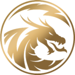 Lightning Dragon Studio