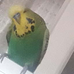 १