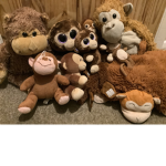 Monkey Crew!!!