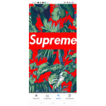 The real supreme group