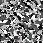 South Korean Military. (PUBLIC)