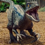 THE DINOSAURS!!!!