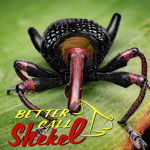 Shekeloid Studios