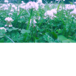 AestheticPicturesXXXX
