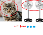 Cat Fan-atics