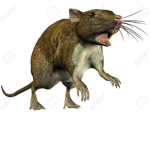 Ratz Are Sick <3