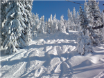 Snow Days