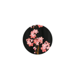 Płütø•