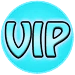 VIP Lounge & FAST PASS Access