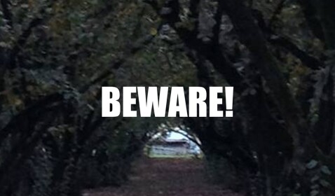 Scary Game