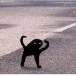 kawaiiLol