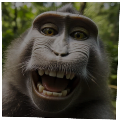 Monkey Box