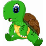 TurtleBoi