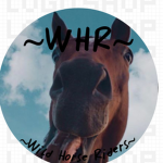 ~Wild Horse Riders~