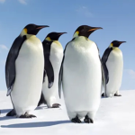 Penguin Brothers and Monsters