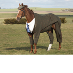 Girl horse stuff