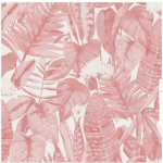Pink memorial studios