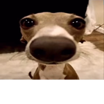Ihddas