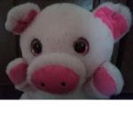 Big pig fans