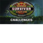 Survivor Role-Play