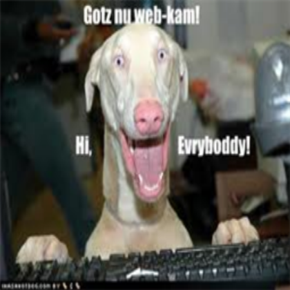 Funny pictures Roblox decal