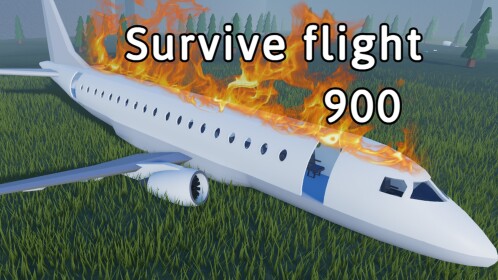 Survive flight 900