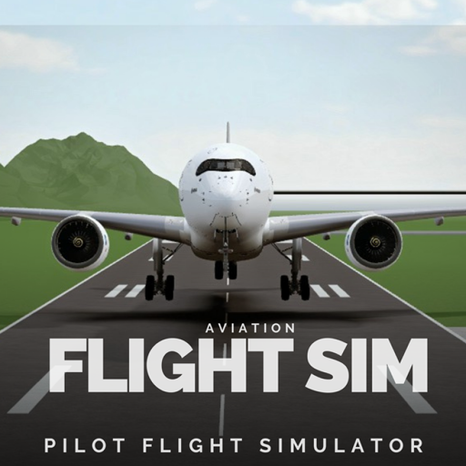 Pilot Flight Simulator