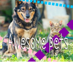 awesome pets