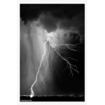 - ThunderBeast -