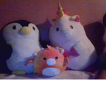 Loser squda