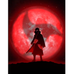 Night riaderS