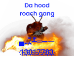 Da hood boxerz