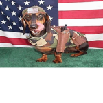 Military wolves and canines