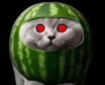 olive bobux