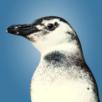 Penguinian Group