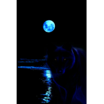 Wolf's of the night