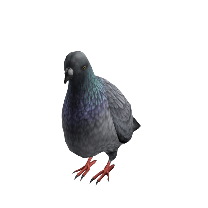 Pigeon Suit