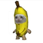 pipino121
