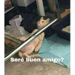 Voy a tener que dar robux :'u